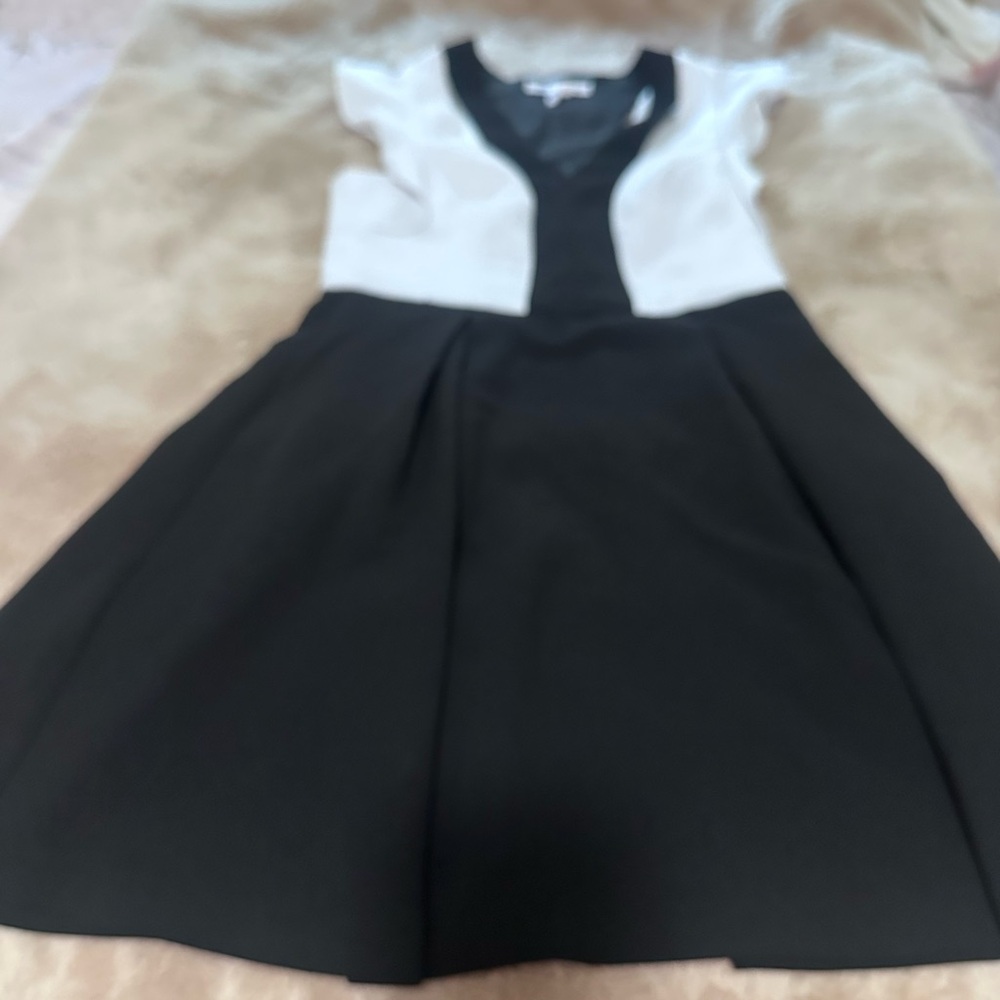 BCBGeneration Dress in Black and White 6